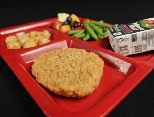 Chicken breast fillet on school lunch tray with veggies and juice box